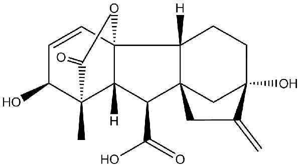 赤霉素GIBBERELLIC ACID，居然有這么神奇？